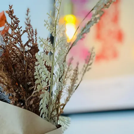 Lägenhet Cozy Flats - S1 Silkeborg