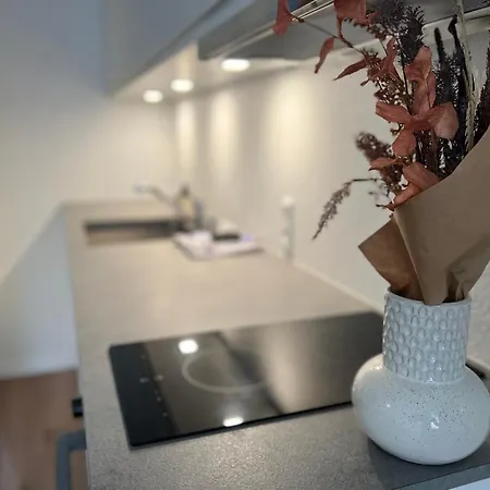 Διαμέρισμα Cozy Flats - S1