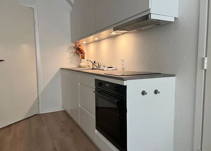 Cozy Flats - S1 Апартаменты Силькеборг